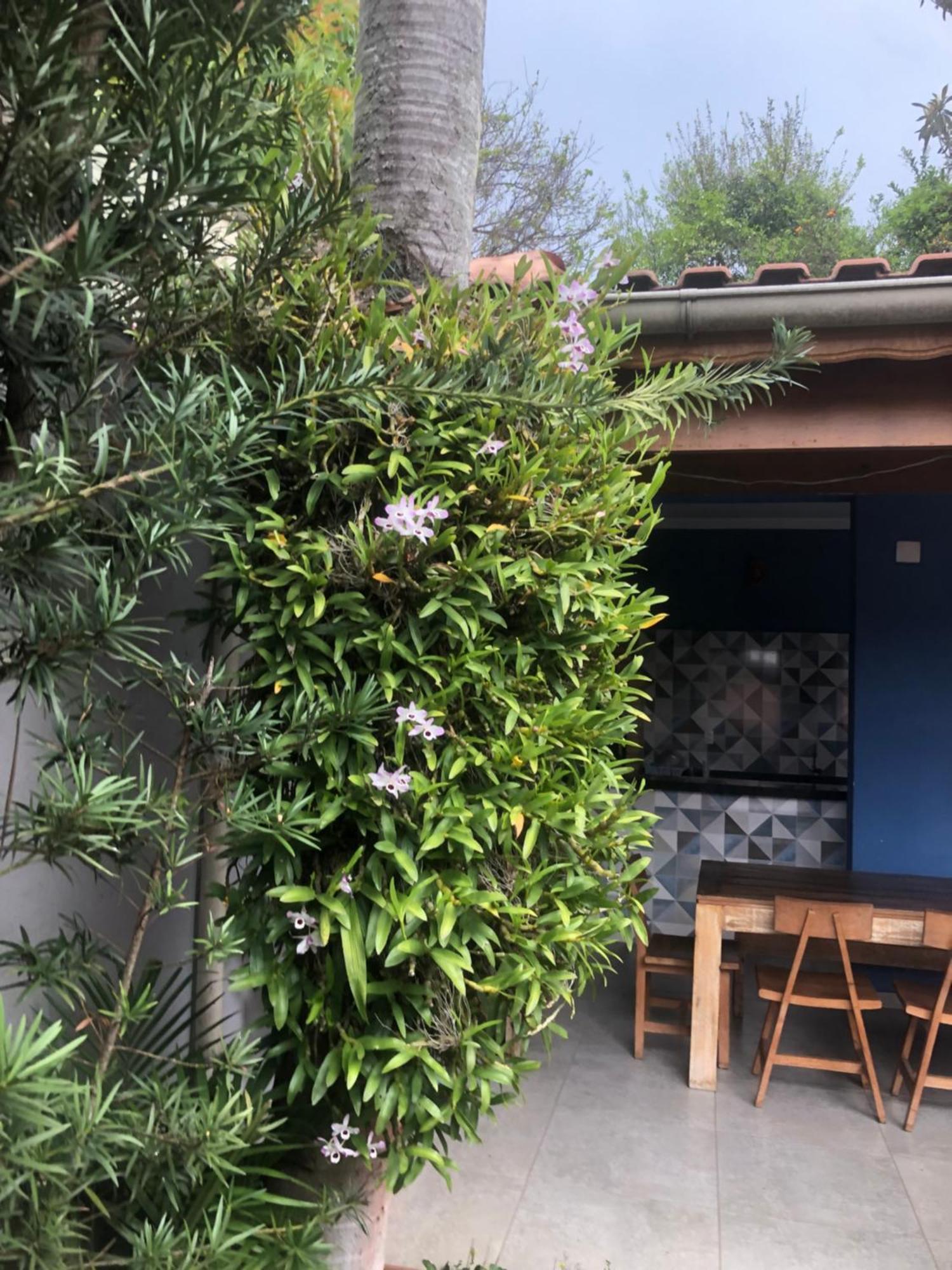 Hostel Martina, Suite 100M Spexpo São Paulo Zewnętrze zdjęcie